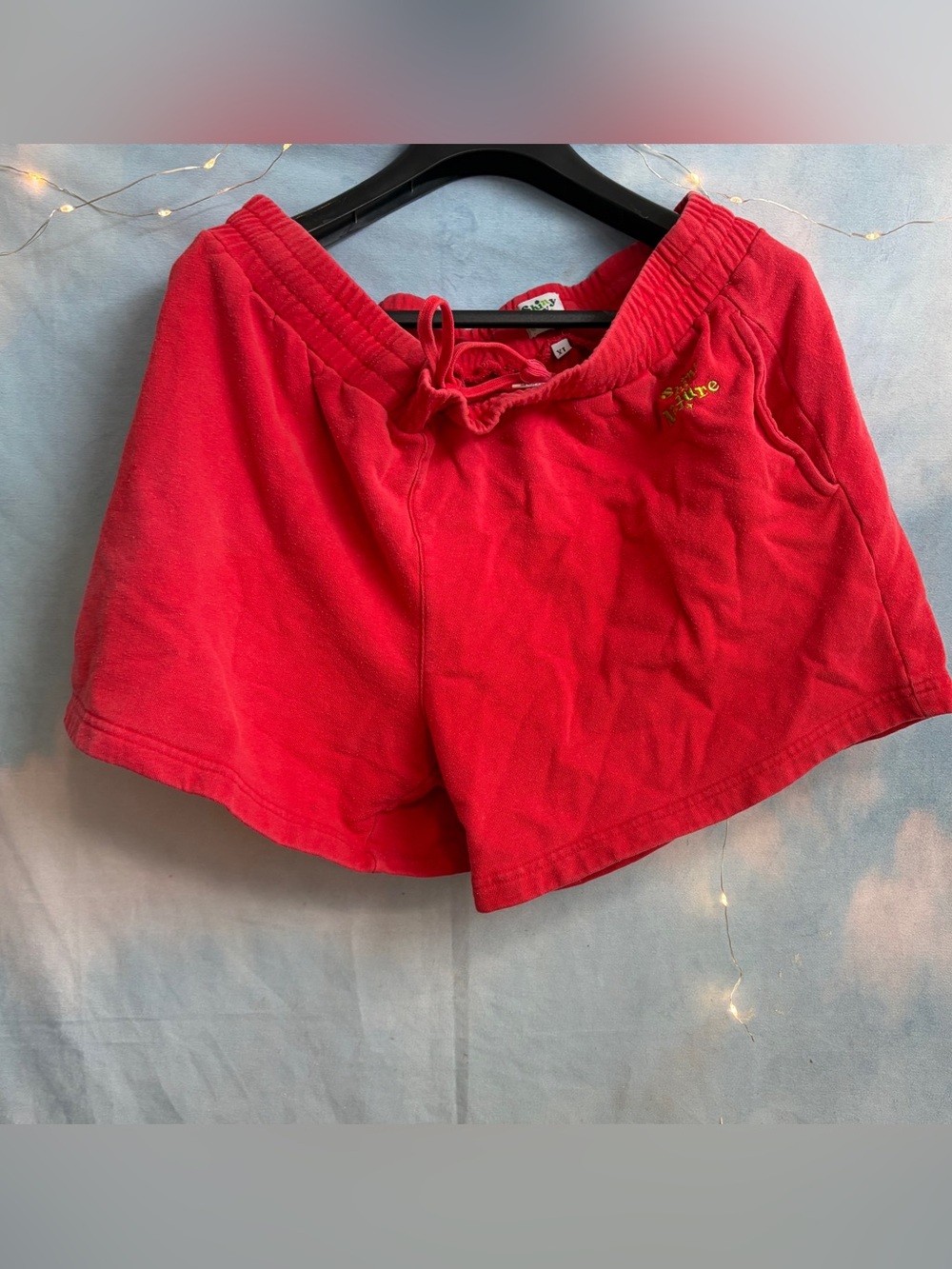 Shiny by Nature Lounge Shorts in Tomato Red (XL)